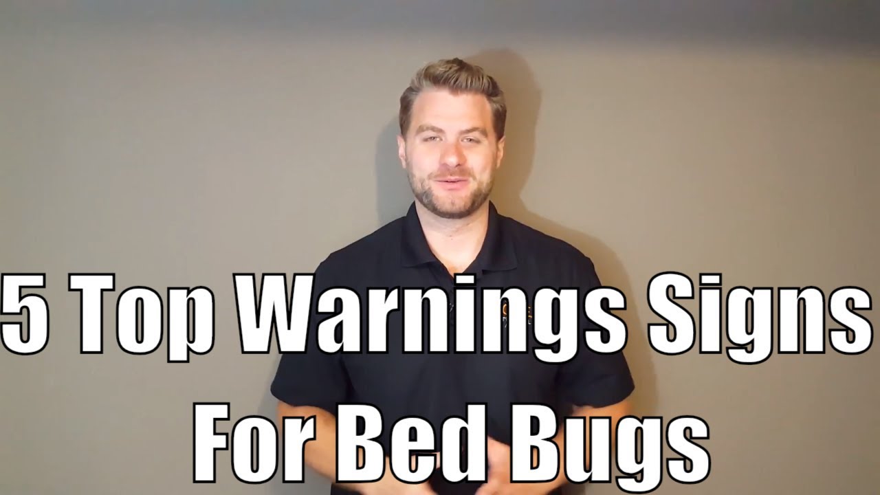 5 Top Warnings Signs Of Bed Bugs In Your House