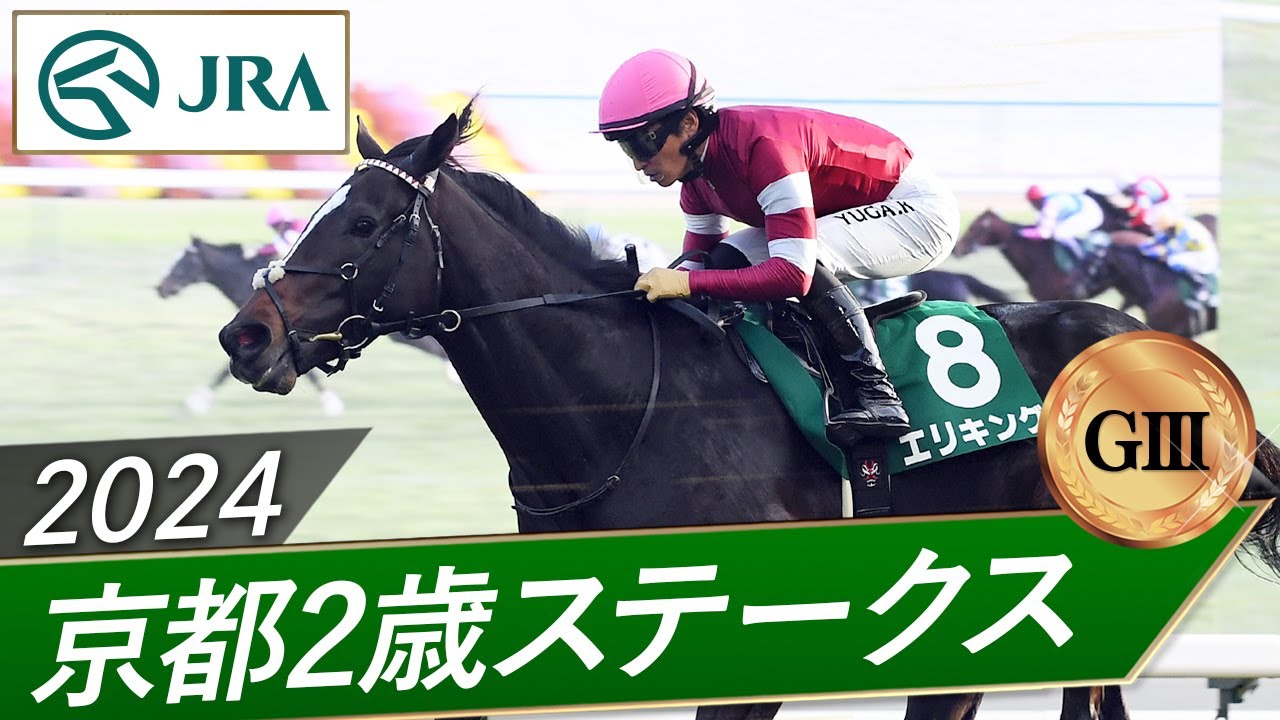 NEW ザ・競馬 II 2024 Kyoto Two-Year-Old Stakes (GIII) | Eli King | JRA Official