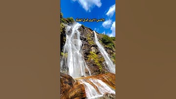 القران الكريم والطبيعة الساحرة 🤲📿🌷🌿🦜 الطبيعة الخلابة