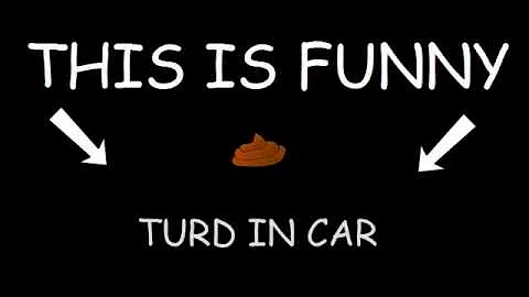 Theres a Turd in my Car