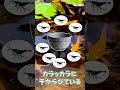 メダカの屋外ビオトープに入れると99.9999%後悔するヤバすぎる生体 #Shorts