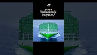The Ship That Blocked Billions in Trade 😳🚢