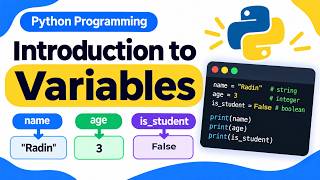 Details Python Variables | How to Store and Use Data in Python News