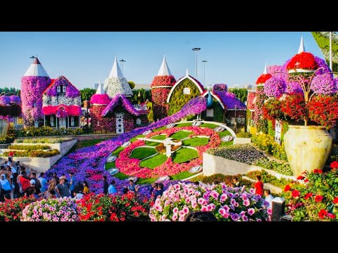  Miracle Garden Dubai 2022 || The world’s largest natural flower garden