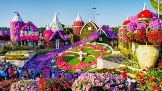 Miracle Garden Dubai 2022 The Worlds Largest Natural Flower Garden