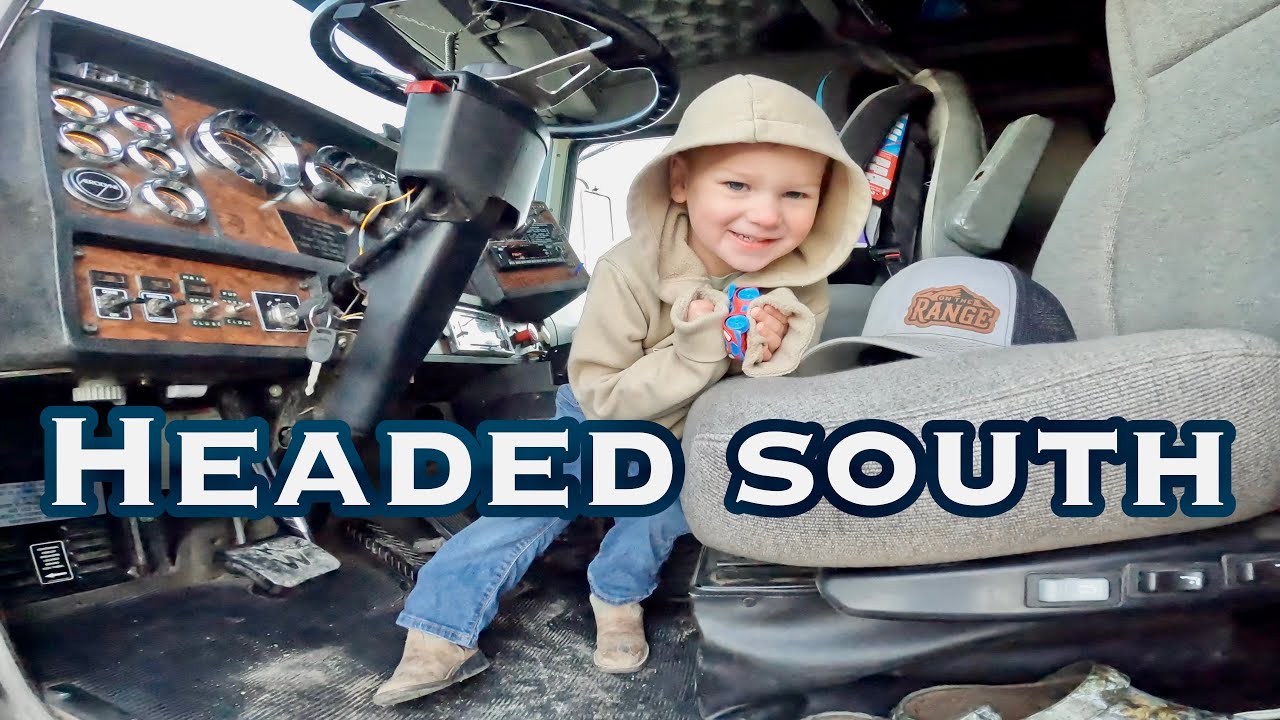 Перевозка стада овец через границы штатов!