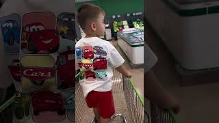 Cute Little Aslan Standing In Cart