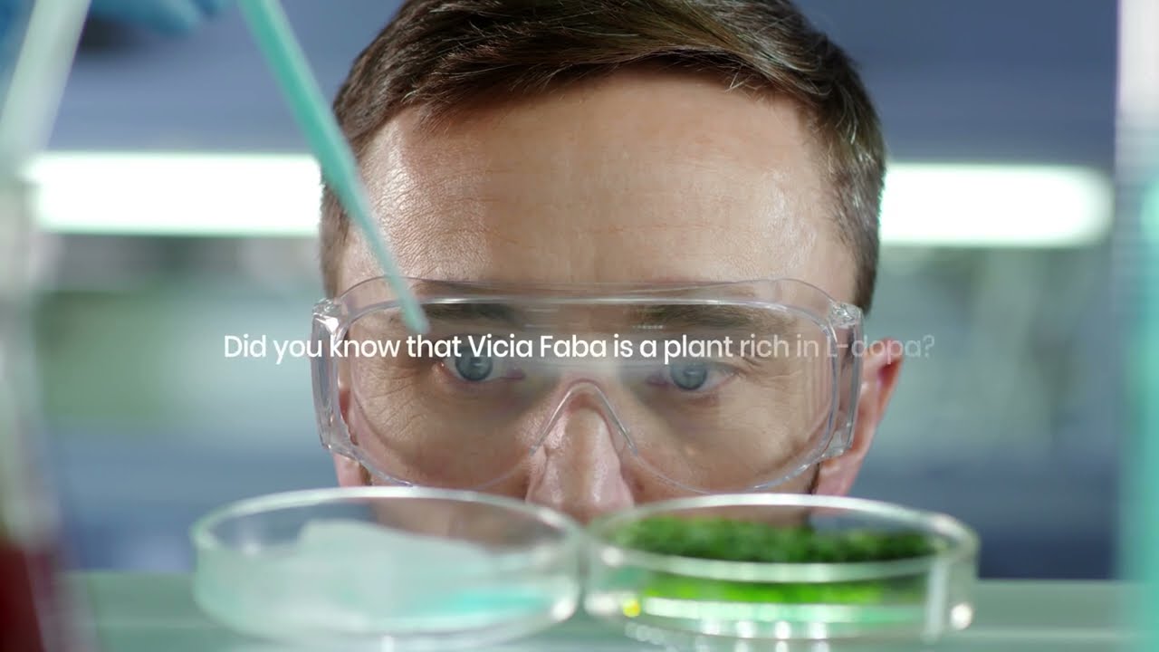 Did you know that Vicia Faba is a plant rich in L-dopa?