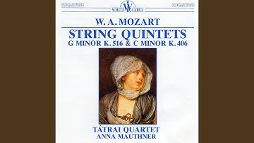 String Quintet in C minor K.406: I. Allegro