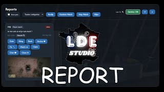 LDE Report | System Report Script FiveM