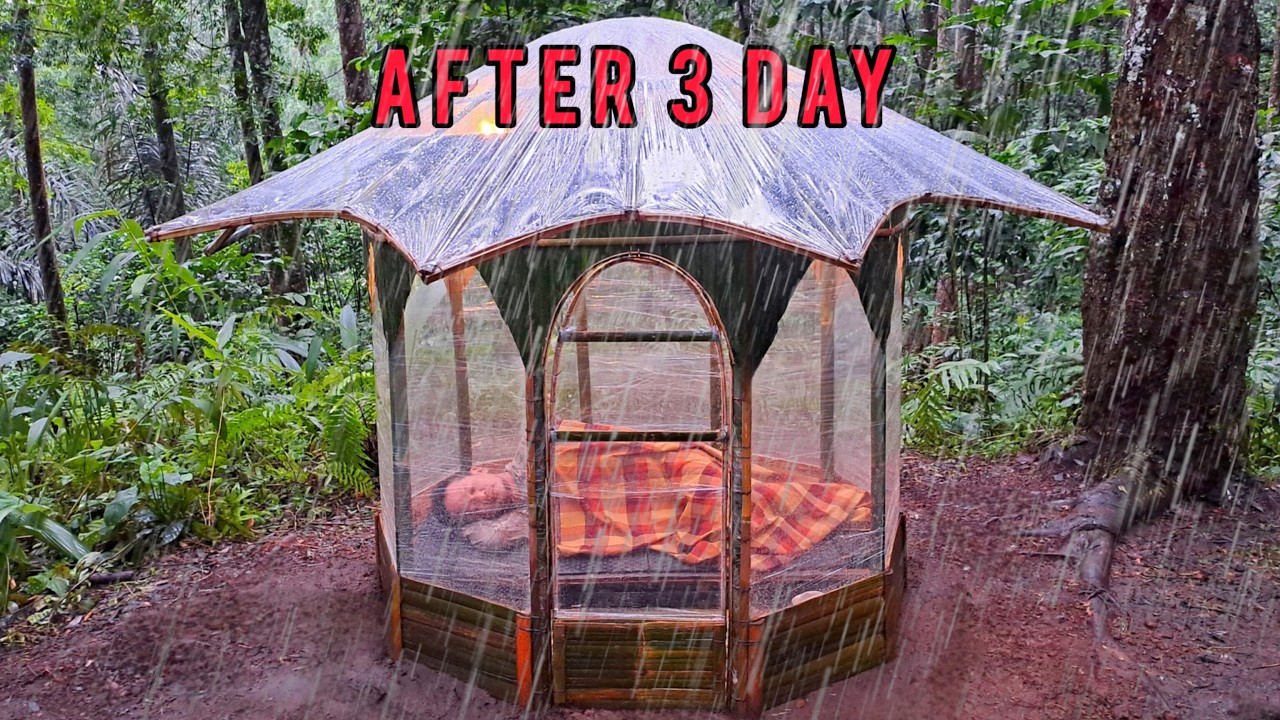 3 дня борьбы за постройку зонтичного укрытия, теплого и уютного - выживание в лесу под дождем