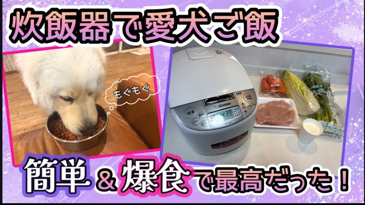 【多頭飼い】超簡単！炊飯器で手作り愛犬ご飯♪