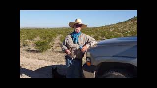 Stockmanship 101, part 1