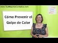 Cómo Prevenir el Golpe de Calor