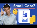 Sollte man in Small Caps investieren? Vorteile von kleineren Unternehmen & Nebenwerten erklärt!