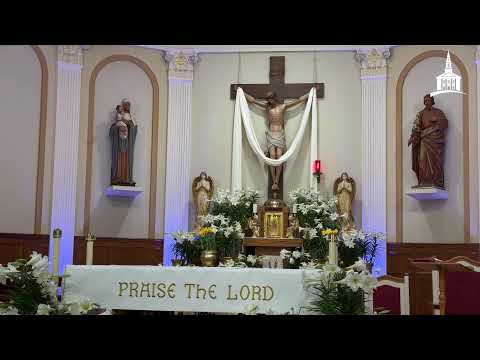 EN VIVO: SANTA MISA | DOMINGO DE PASCUA, ABRIL 5 DEL 2026