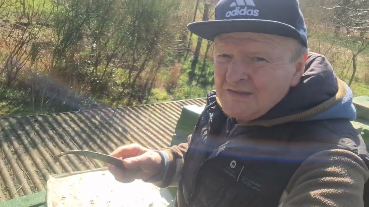 Ja, es geht schon wieder richtig los auf meinem Bienenstand .