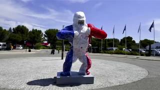2019 French F1 GP in Pictures