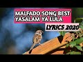 MALFADO SONG YASALAM YA LULA LYRICS 2020