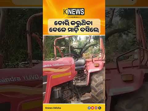 ବାଲି ଚୋରା ଚାଲାଣ ବେଳେ ମାଡ଼ି ବସିଲେ ଚମ୍ପୁଆ ତହସିଲଦାର #knewsodisha