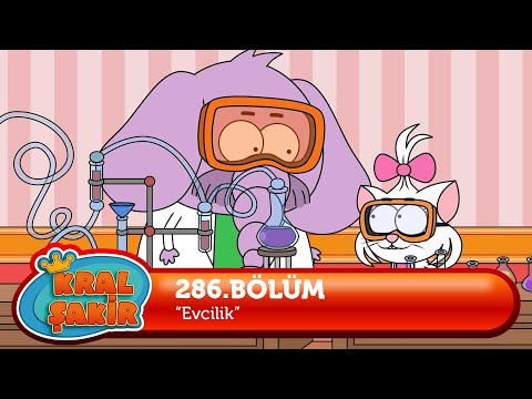 Kral Şakir 286 Bölüm Evcilik 