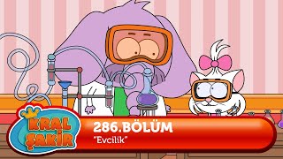 Kral Şakir 286. Bölüm - Evcilik