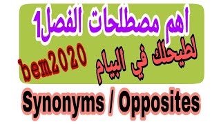 اهم مصطلحات الفصل01 في الانجليزية /المقطع1 للرابعة متوسط تحضيرا لشهادة bem2020