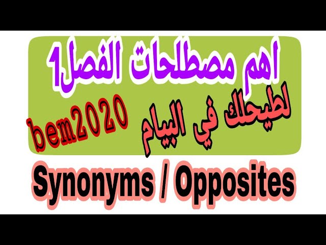 اهم مصطلحات الفصل01 في الانجليزية /المقطع1 للرابعة متوسط تحضيرا لشهادة bem2020