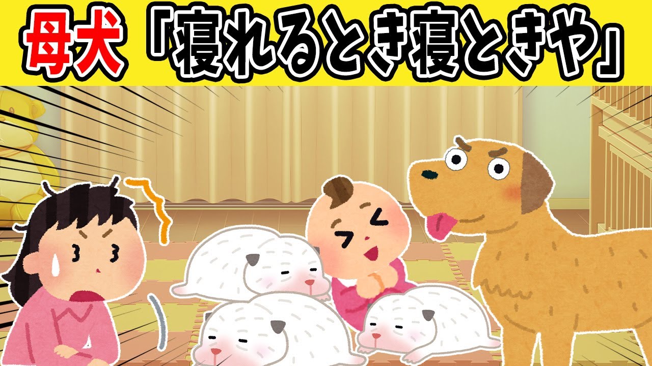 【総集編】夜寝る前に聞きたい話15選！母犬の優しすぎる神対応に涙が止まらない【ゆっくり】