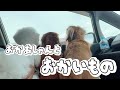 車で待機なわんこたち