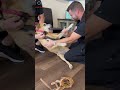 Doggy Finds Stability With Dr Whitley Animalchiropractic Chiropracticadjustment Chiropractic 