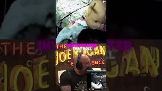 Joe Rogan's Most Terrifying Python Story #ytshorts #joeroganexperience Wealth