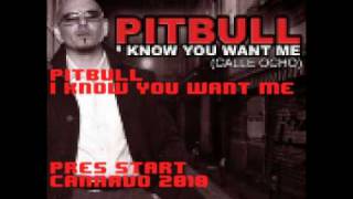 Pitbull - I Know You Want Me (8-bit)