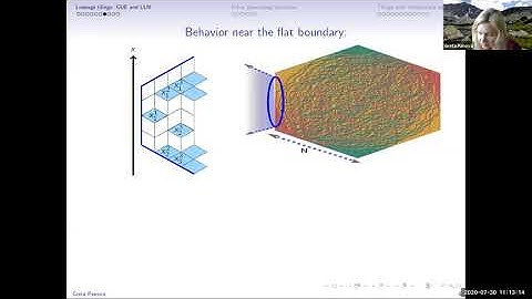 Greta Panova, Algebraic combinatorics meets probability: statistical mechanics and asymptotics, pt 1