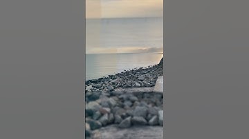 Can You Use Dehancer with iPhone Footage? (Film Look)