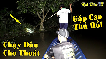 Săn Bắt Cá, Bắt Chuột, Bắt Ếch Mùa Lũ, Cao Thủ Soi Ếch Thưởng Thức Nồi Cháo Ếch Dân Dã/NGÃ NĂM TV