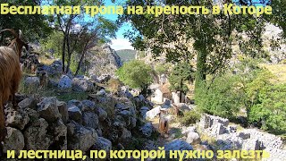 Бесплатная тропа к Которской крепости и на что это похоже в реальности