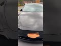 2023 Tesla Model Y Performance #teslamodelyperformance #blackedout #tesla #ppf #ceramiccoating