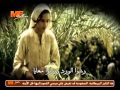 رشوا الورد يا صبايا