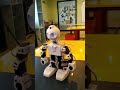 Robot Assembled at School