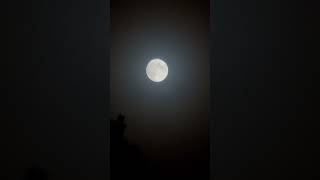 iPhone 16 Pro Max INSANE Zoom and Light Calibration Feature🤯🌑