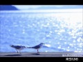 【カラオケ・歌ってみた】ほんのノスタルジー/来生たかお cover by Tsuki