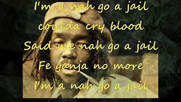 Peter Tosh - Nah Go A Jail (lyrics)