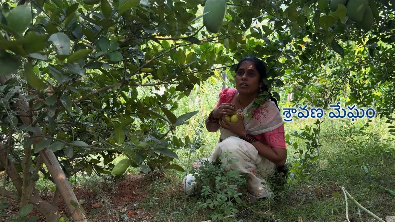 అంబలి నేను ఇలా చేస్తాను॥నా పూర్వ జన్మలో నేను ఎక్కడ పుట్టానో తెలిసింది@sravanamegham 