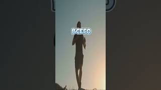 Мы состоим из воды
