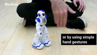 Motion Control Robot