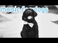 11 HOURS of Relaxing Music for Dogs! Anti Anxiety and Sleep Aid! NEW!