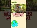 ヤシガニが危険すぎる #shorts
