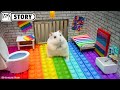 🐹 Hamster Escapes the Pop It Maze for Pets in real life 🐹 Homura Ham