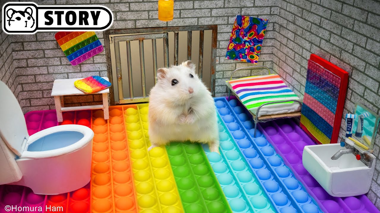 ⁣? Hamster Escapes the Pop It Maze for Pets in real life ? Homura Ham